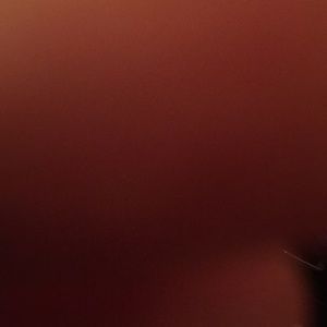 Meet your Posher, Niko